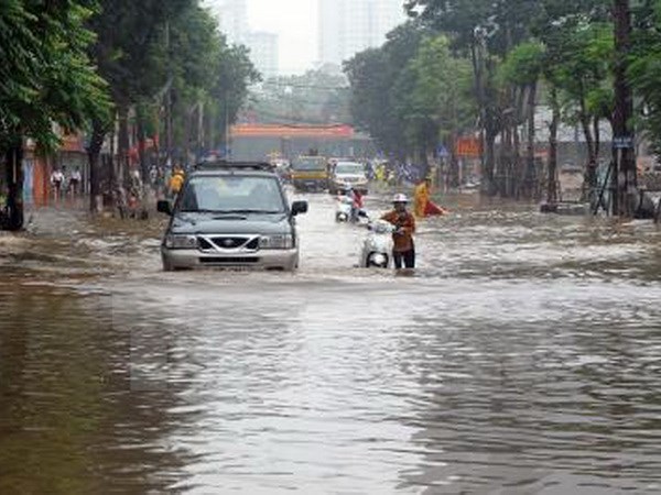 (Ảnh minh họa: Quang Quyết/TTXVN)