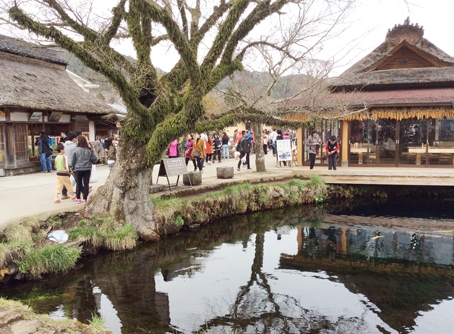 Đường vào làng cổ Oshino Hakkai thơ mộng.  Ảnh: T.THÚY