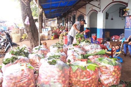 Chôm chôm Long Khánh lo lỡ mất cơ hội xuất khẩu vào thị trường Pháp