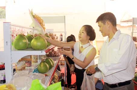 Sản phẩm đặc sản bưởi Tân Triều (huyện Vĩnh Cửu) tham gia hội nghị kết nối cung - cầu giữa TP.Hồ Chí Minh và các tỉnh, thành diễn ra trong 2 ngày 25 và 26-11.
