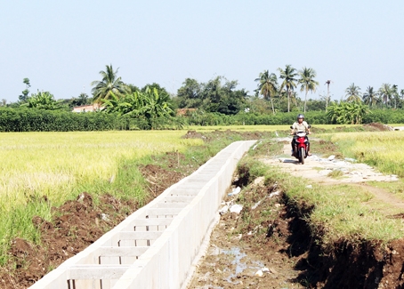 Hệ thống kênh mương nội đồng tại cánh đồng ấp 2, xã Sông Ray đã được bê tông hóa. Ảnh: N.Liên