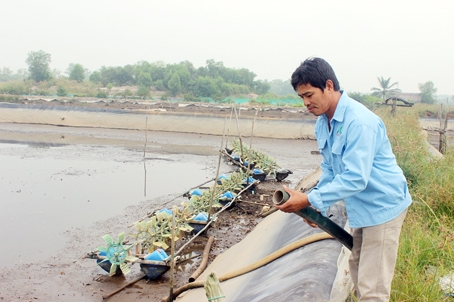 Ông Tô Văn Cường (ấp Bà Trường, xã Phước An, huyện Nhơn Trạch) phải phơi ao nuôi tôm vì nguồn nước bị ô nhiễm do Công ty TNHH Tuấn Hải Đăng nạo vét sông Thị Vải.