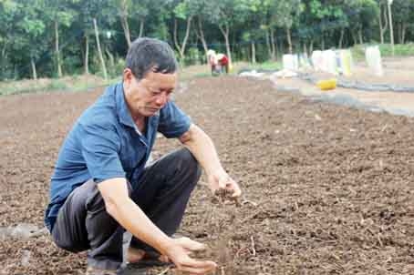 Ông Lê Văn Tiên dự định đẩy mạnh đầu tư chế biến thêm các dòng sản phẩm từ củ nghệ. Ảnh: L. Quyên