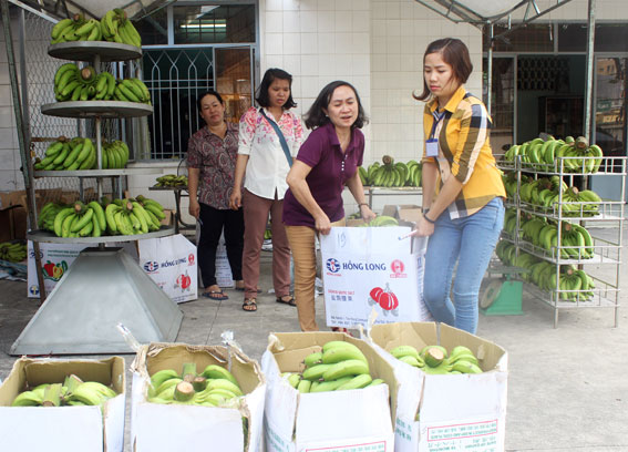 Điểm bán chuối tại Hội Nông dân tỉnh