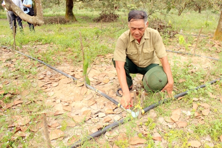 Ông Nguyễn Văn Thu giới thiệu hệ thống tưới tự động vừa lắp đặt cho vườn điều xen canh ca cao.