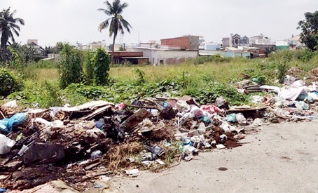 Bãi rác tự phát trên đường Huỳnh Văn Lũy (phường Quang Vinh, TP.Biên Hòa) do người dân vô ý thức đem bỏ tại đây.
