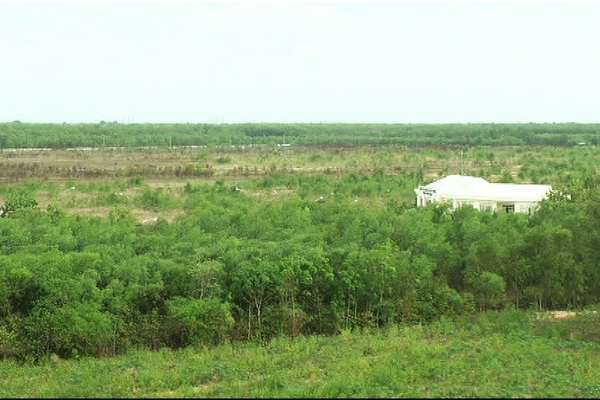 Khu trung tâm huyện Nhơn Trạch được quy hoạch nhiều năm nhưng vẫn là vùng đất trống
