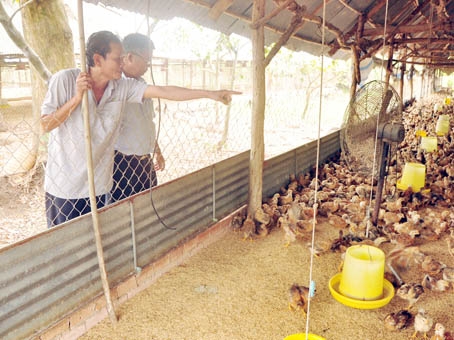 Ông Phạm Quốc Hinh (trái) (xã Bàu Trâm, TX. Long Khánh) đưa hội viên cựu chiến binh đi tham quan đàn gà 18 ngàn con của gia đình ông.