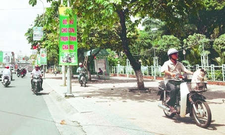 Không ít người vô tư đi ngược chiều ở khu vực vòng xoay Biên Hùng.