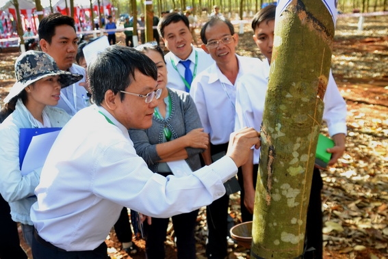 Các giám khảo đang chấm thi phần thực hành