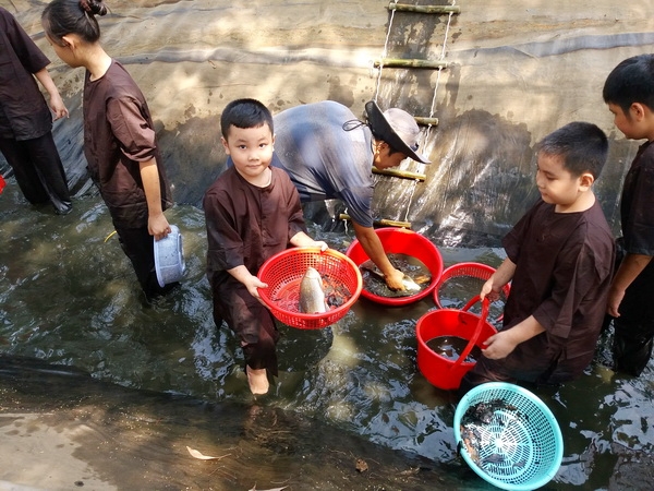 Học sinh tham gia trải nghiệm bắt cá dưới rách nước tại nông trại bánh xe (Ảnh: Công Nghĩa)