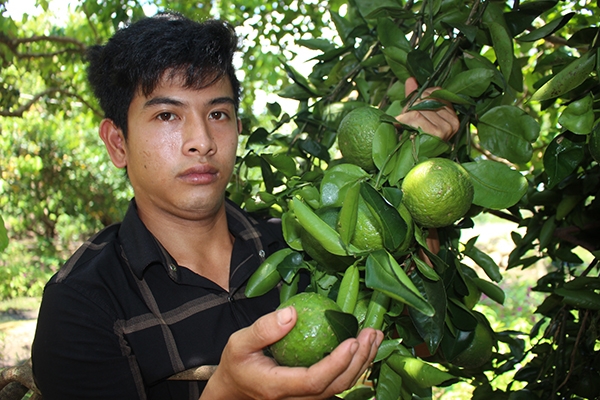 Nông dân 9X Út Tiêu, xã Bình Lộc (TX.Long Khánh) bên vườn cây trái trĩu quả.