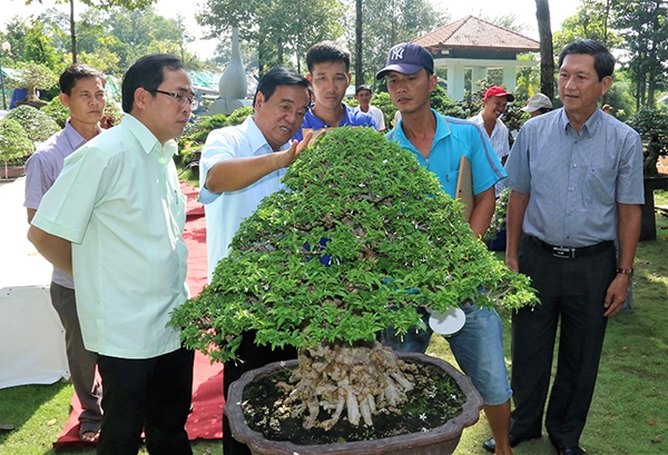 Nguyên Bí thư Tỉnh ủy, Phó chủ tịch Hội sinh vật cảnh Việt Nam Trần Đình Thành (thứ hai từ trái qua) cùng các nhà vườn tham quan một số bonsai trưng bày tại triển lãm bonsai triển vọng và chợ phiên sinh vật cảnh lần 7, năm 2018.