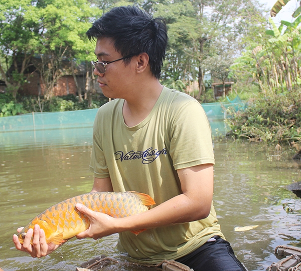 du hoc nganh am thuc, 8x lai ve que nuoi "ca vua" trong ao lang hinh anh 2