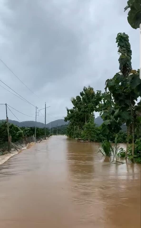 Lũ tràn về khiến đường sá tại xã Nam Cát Tiên (huyện Tân Phú) tê liệt