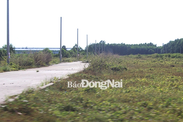 Khu đất được Công ty cổ phần địa ốc Alibaba rao bán đất nền “ảo”  tại xã Long Phước (huyện Long Thành).