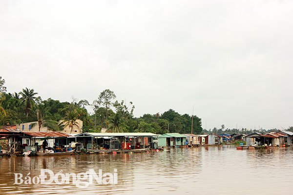 Một góc làng bè tại phường Long Bình Tân (TP.Biên Hòa)