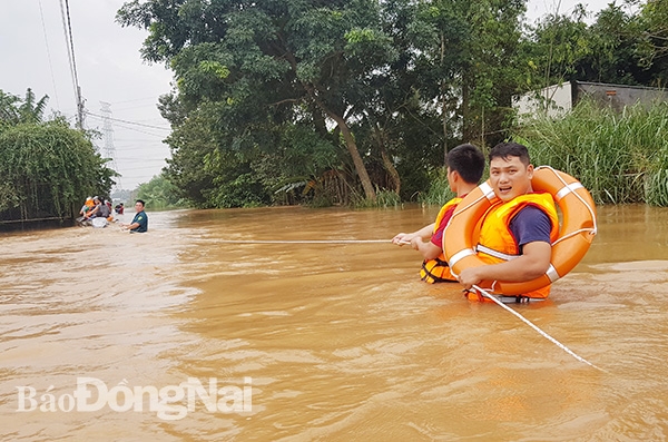 Lực lượng chức năng, chính quyền địa phương hỗ trợ người dân di chuyển tài sản