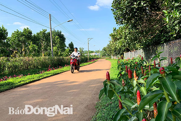 Các hộ dân ở xã Xuân Định (huyện Xuân Lộc) đều quan tâm làm đẹp cảnh quan từ nhà ra ngõ. Ảnh: N.Liên