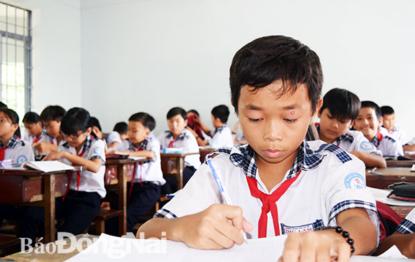 Em Vũ Thành Quân, học sinh lớp 6/5 Trường THCS Phú Lâm, huyện Tân Phú, trong giờ học.  Ảnh: H.Yến
