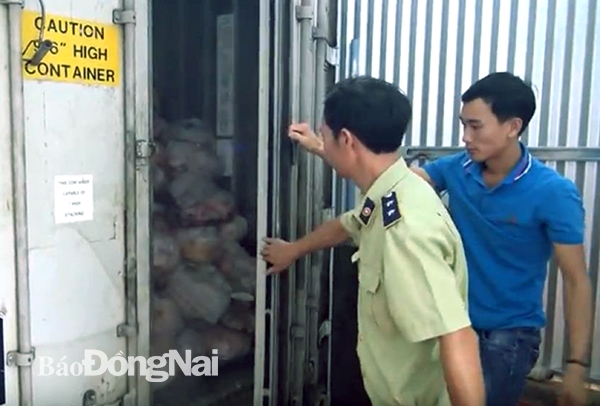 Lực lượng quản lý thị trường Đồng Nai kiểm tra một container chứa thịt heo, thịt gà không rõ nguồn gốc ở xã Tây Hòa (huyện Trảng Bom) vào khoảng giữa tháng 8-2019. Ảnh: CT.V