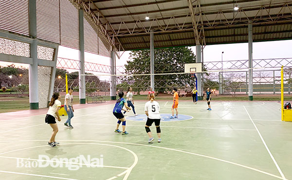 Người lao động vui chơi tại khu thể thao do Công ty TNHH Pousung Vina (Khu công nghiệp Bàu Xéo, H.Trảng Bom) đầu tư. Ảnh: H.Lộc