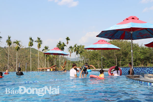Hồ bơi vô cực, điểm hấp dẫn du khách tại Resort Orchard Home Nam Cát Tiên (H.Tân Phú).