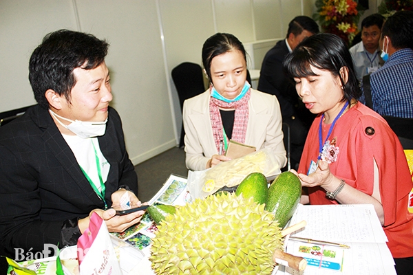 Bà Đặng Thị Thúy Nga, Giám đốc HTX Thương mại dịch vụ nông nghiệp Xuân Định (H.Xuân Lộc, bìa phải) gặp gỡ các đối tác là doanh nghiệp nước ngoài tại hội nghị quốc tế về công nghệ sản xuất và chế biến rau, hoa, quả (HortEx Vietnam) tại TP.HCM