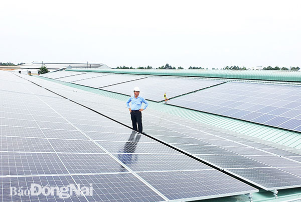 Phát triển điện năng lượng mặt trời tại Khu công nghiệp Tam Phước, TP.Biên Hòa. Ảnh: Lê An