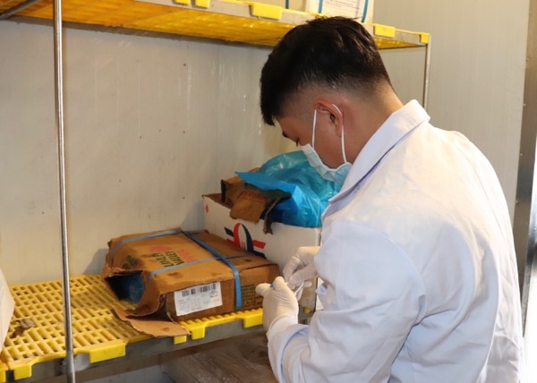Nhân viên y tế lấy mẫu xét nghiệm SARS-CoV-2 ngoài bao bì tại kho đông lạnh của Công ty TNHH Vườn Alan.