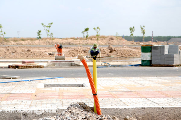 Hạ tầng phục vụ cung cấp nguồn điện và dịch vụ viễn thông tại khu tái định cư Lộc An - Bình Sơn đã được thi công cơ bản hoàn thành