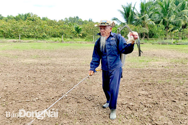 Một khu đất nông, lâm trường ở xã Gia Canh (H.Định Quán) giao địa phương quản lý đang đợi phương án sử dụng đất được phê duyệt