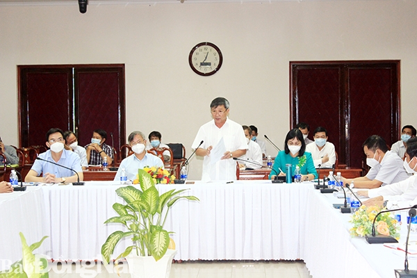 Phó bí thư Thường trực Tỉnh ủy Hồ Thanh Sơn phát biểu tại cuộc họp