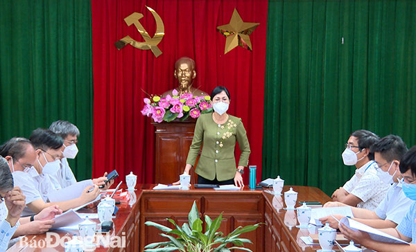 Phó chủ tịch UBND tỉnh Nguyễn Thị Hoàng phát biểu kết luận cuộc họp