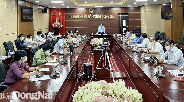 Phó chủ tịch UBND tỉnh Nguyễn Sơn Hùng phát biểu tại buổi họp