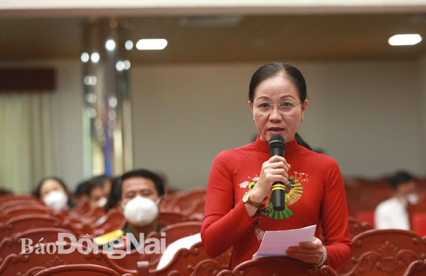 Đại biểu HĐND tỉnh tổ H. Nhơn Trạch phát biểu tại kỳ họp. Ảnh: Huy Anh