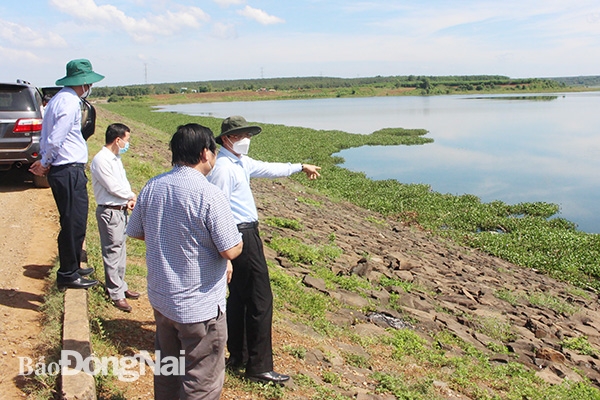 Phó chủ tịch UBND tỉnh Võ Văn Phi đi kiểm tra công trình chứa nước hồ Cầu Mới (H.Long Thành)