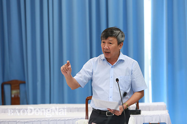 Phó bí thư Thường trực Tỉnh ủy Hồ Thanh Sơn phát biểu tại cuộc họp. Ảnh: Huy Anh