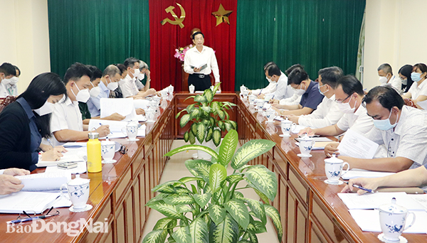 Phó chủ tịch UBND tỉnh Võ Văn Phi phát biểu chỉ đạo tại cuộc họp