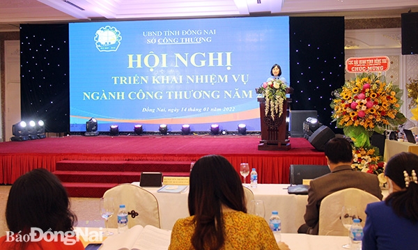 Phó chủ tịch UBND tỉnh Nguyễn Thị Hoàng phát biểu chỉ đạo tại hội nghị