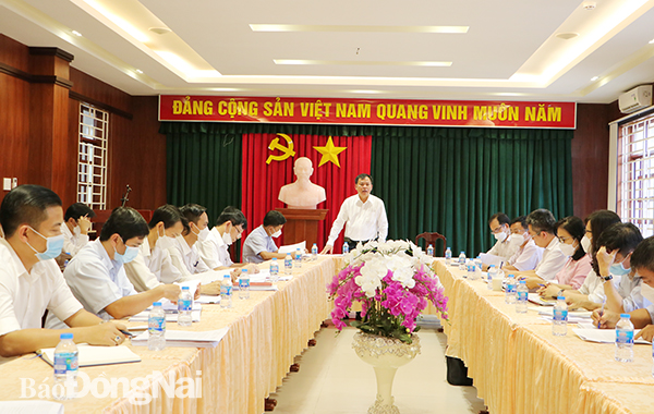 Phó chủ tịch UBND tỉnh Võ Tấn Đức phát biểu tại buổi làm việc.