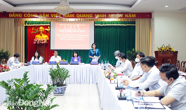 Phó chủ tịch UBND tỉnh Nguyễn Thị Hoàng phát biểu tại hội nghị