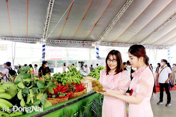 Trưng bày các sản phẩm nông nghiệp tại một sự kiện của TP.Long Khánh