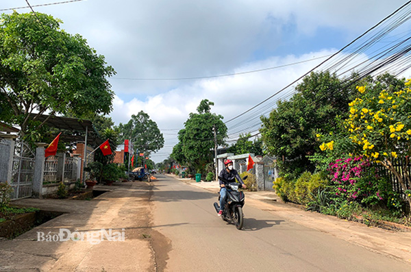 Tuyến đường khu dân cư kiểu mẫu tại xã Quang Trung (H.Thống Nhất). Ảnh: Bình Nguyên