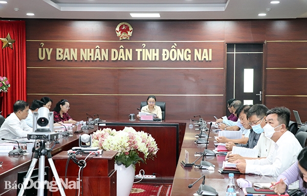 Giám đốc Sở Tư pháp Võ Thị Xuân Đào chủ trì hội nghị tại điểm cầu Đồng Nai