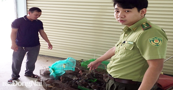  Lực lượng kiểm lâm kiểm tra và thu giữ số động vật rừng tại quán nhậu trên địa bàn H.Trảng Bom. Ảnh do cơ quan chức năng cung cấp
