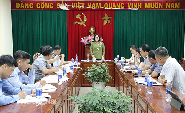 Phó chủ tịch UBND tỉnh Nguyễn Thị Hoàng phát biểu tại buổi làm việc. Ảnh: Phạm Tùng