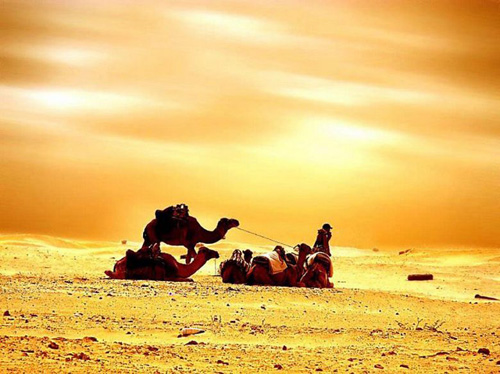 Sa mạc Sahara thuộc lãnh thổ Tunisia.