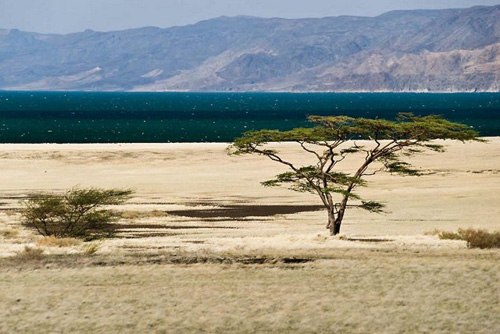 Hồ Turkana, Kenya.