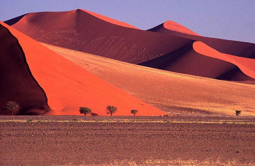 Những cồn cát màu đỏ của sa mạc Namib.